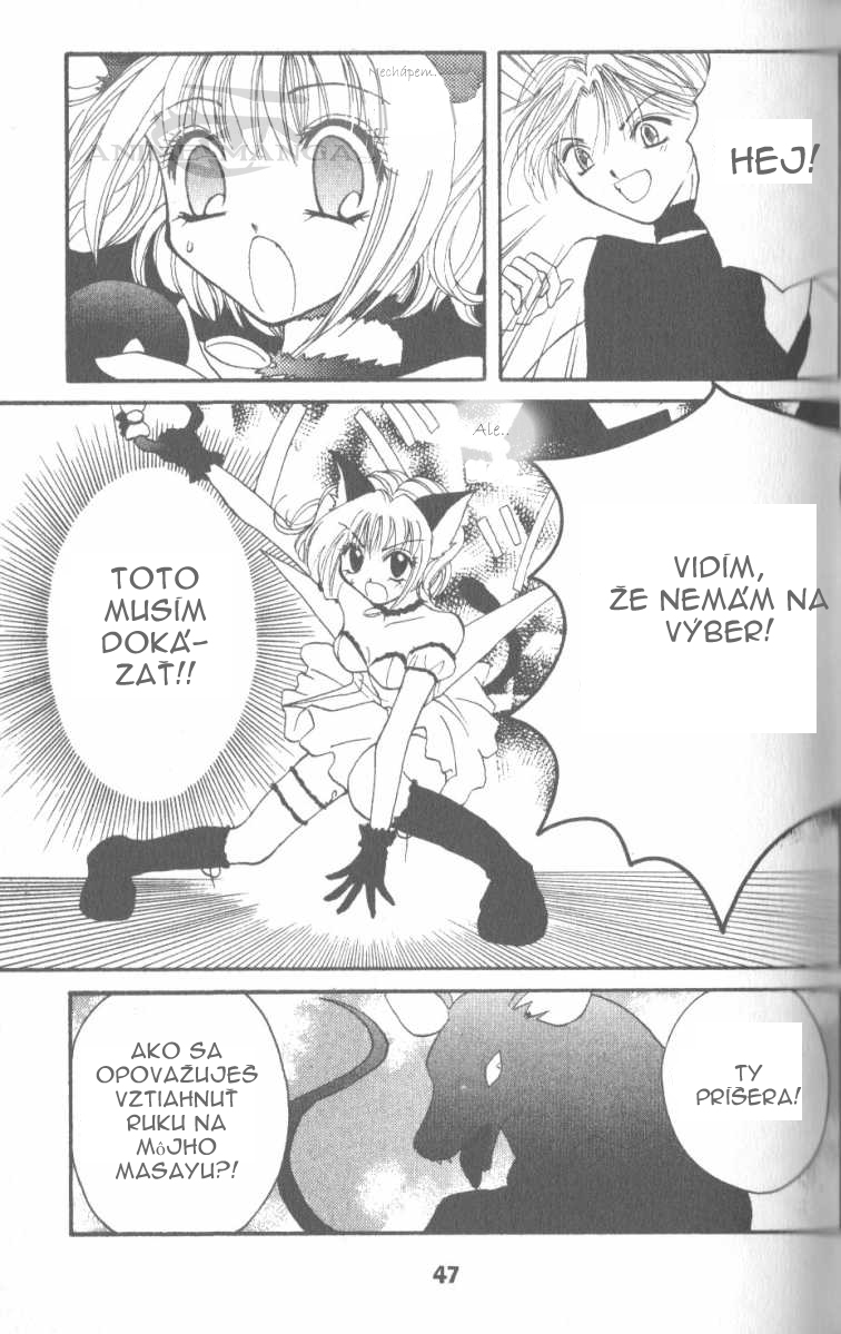 Tokyo Mew Mew 39.jpg